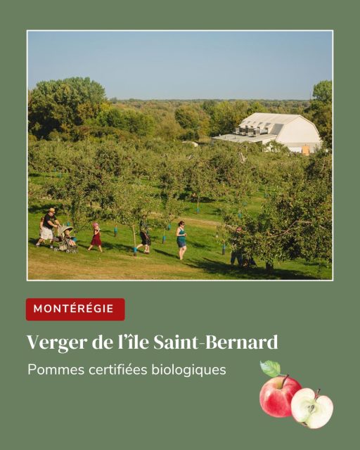 🍎 Ouverture dès samedi 20 septembre!

🌿 Le verger de l’île Saint-Bernard (@heritagesaintbernard) 
vous invite à l’auto-cueillette de pommes biologiques – près de 15 variétés à découvrir!

♻️ Zéro plastique : apportez vos sacs réutilisables 👜✨
🎶🍯 Aire de pique-nique + animations & kiosques locaux les 2 premiers week-ends 
🚐 Navette gratuite les samedis & dimanches, 11h à 18h

🕘 Tous les jours, de 9h à 17h
👉 Jusqu’à épuisement des resources!